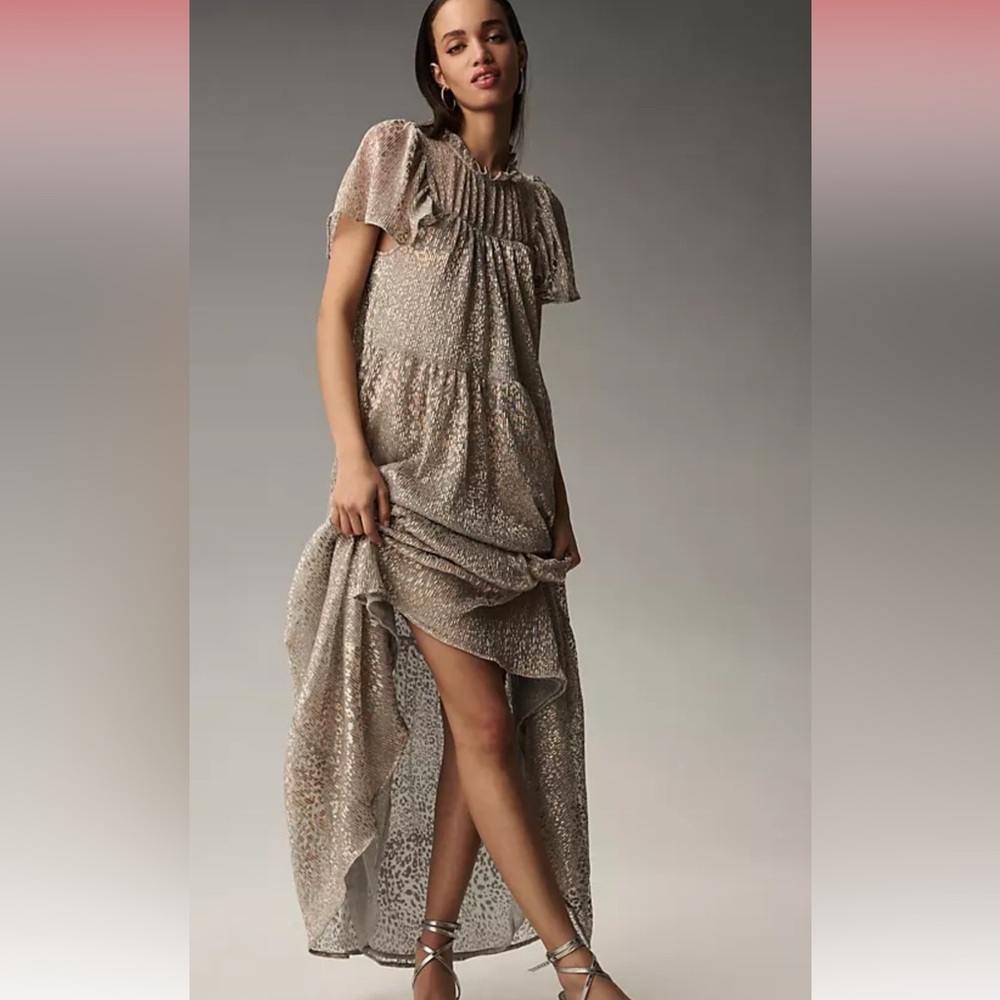 Anthropologie Sliver and Gold long dress NWT